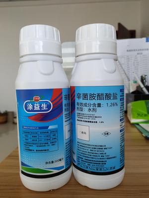 涂益生.辛菌胺醋酸盐
